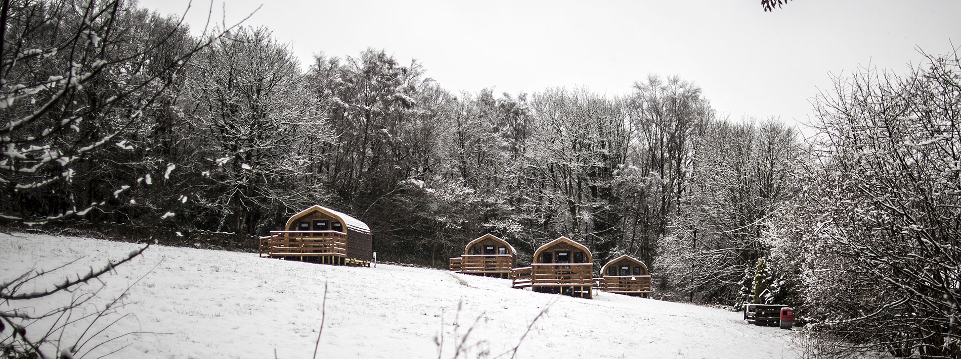Cabins in Snow